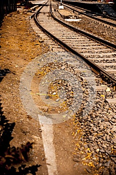 Close up of railway tracks passing or running straight through a forest type area with having surroundings dried out.