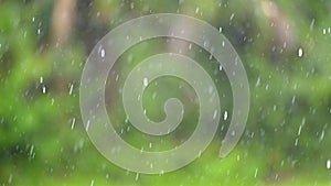 Close-up of rain drops falling down on blurred background. Rainy weather in wet season