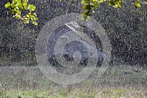 A close up of rain falling on a meadow with a beautiful abandoned mill. Knapp and Papermill, Worcestershire, UK photo