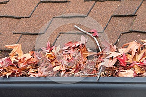 Close up on rain gutter clogged with leaves and debris