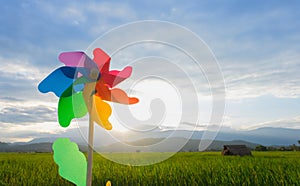 Rainbow wind turbines plastic on agricultural fields in the evening