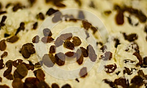 Close-up of raisins in curd mass on a spoon with a soft blurred background.