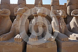 Close-up on ram-headed sphinxes at Karnak Temple, Luxor