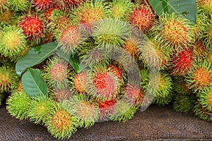 Rambutan Nephelium lappaceum photo