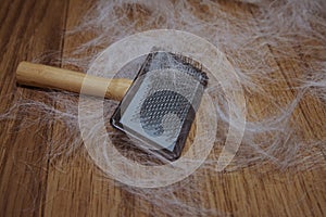 CLOSE-UP RASKET BRUSH AND DOG OR CAT HAIR DURING ANNUAL SHEDDING MOLT SEASON OF ANIMALS photo