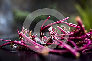 Close up of raw amaranth leaves`s branches on wooden surface without its leaves.