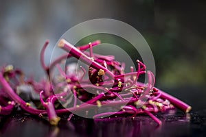 Close up of raw amaranth leaves`s branches on wooden surface without its leaves.