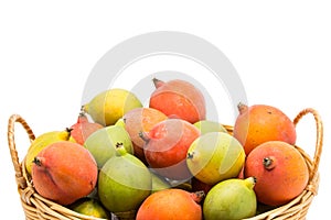 Close up raw betel nut