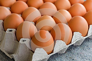 Close-up raw chicken eggs in egg box on fabric