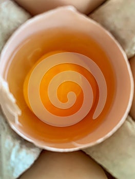 Close Up of Raw Egg Yolk