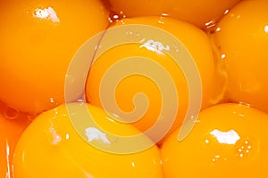 Close-up of raw egg yolks