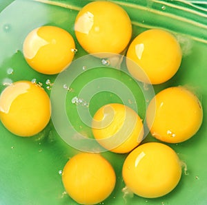 Close-up of raw egg yolks