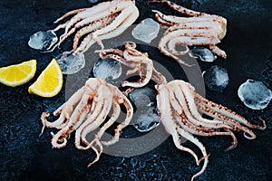 Close up raw fresh squid tentacles on a black concrete background, top view, text space