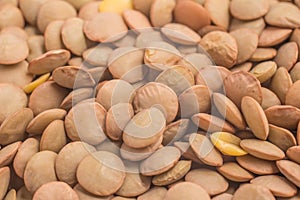 Close-up on a Raw Lentils on white background. (Lens culinaris)