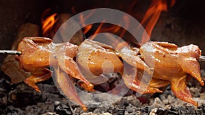 Close-up of the raw marinated quail carcasses on the skewer rotated above fire