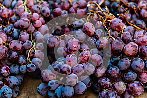 Close up of raw organic sweet red grapes, wine grapes texture