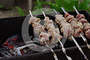 Close up of raw shashlik on skewers. Succulent barbecue roasting on chargrill. Concept of picnic outdoor