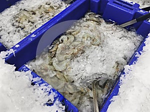 Close up raw shrimp in supermarket