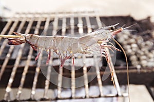 Close up raw shrimps impale with wood