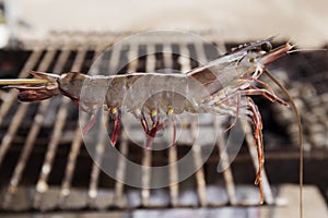 Close up raw shrimps impale with wood