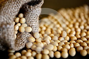 Close-up of raw soybeans, background