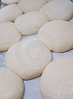 Close-up of ready-to-bake sourdough bread dough with yeast