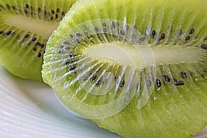 Close up slice of kiwi fruit