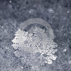 Close-up of real snowflake