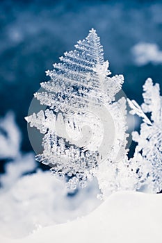 Close-up of real snowflake