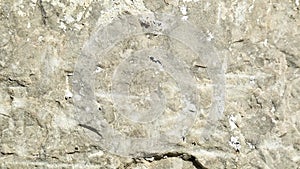 Close up of real stone surface, building materials,