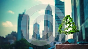 Close-up of Recycle sign tree against city street background with skyscrapers, bokeh day effect