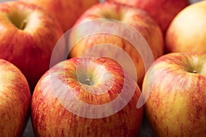 Close up of red apple fruit (Envy apple) background