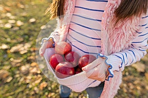Close-up of red apples in hands of girl
