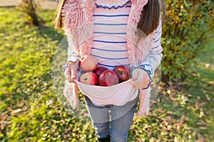 Close-up of red apples in hands of girl