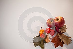 Close-up of red apples and surinam cherry with autumn leaves