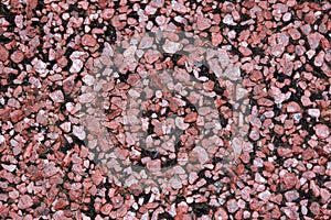 Red bitumen shingle close up
