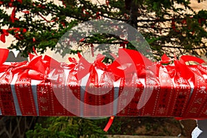 Close-up of red blessing ribbon in Medicine Buddha old temple in Jingpo lake geopark2