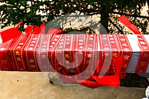 Close-up of red blessing ribbon in Medicine Buddha old temple in Jingpo lake geopark3