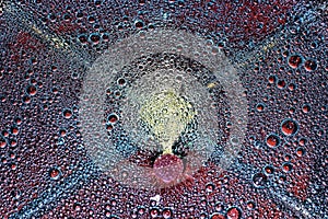 Close-up of red and blue water drops texture