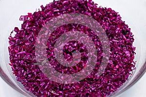 Close-up of red cabbage
