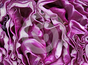 Close up of red cabbage