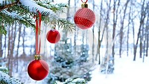 Close-up of red Christmas Baubles Balls hanging on snow covered pine tree branches outside