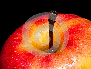 Close-Up Of red delicious apple with water droplets. Isolated on black background