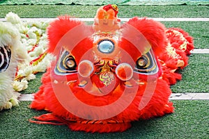 Close-up of Red Dragon Head, Dragon dance is a form of traditional dance and performance in Chinese culture.