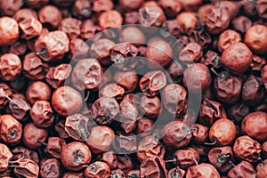 Close Up of Red dried jujube. Ziziphus mauritiana, also known as Chinese date, ber, Chinee apple, jujube, Indian plum, Regi pandu