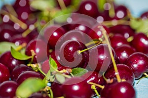 Close up of red fresh cherries with water drops
