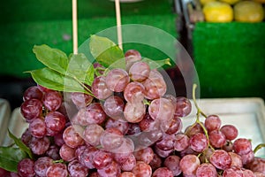 Close up red grape on the shelf in fresh market. healthy fruits for anti oxidant.