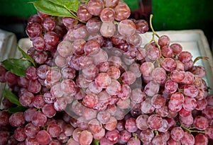 Close up red grape on the shelf in fresh market. healthy fruits for anti oxidant.