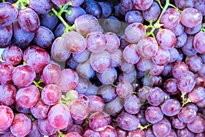 Close up red grape on the shelf in fresh market. healthy fruits for anti oxidant. photo