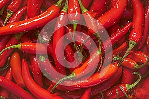 Close up of red hot chili peppers texture background, copy space